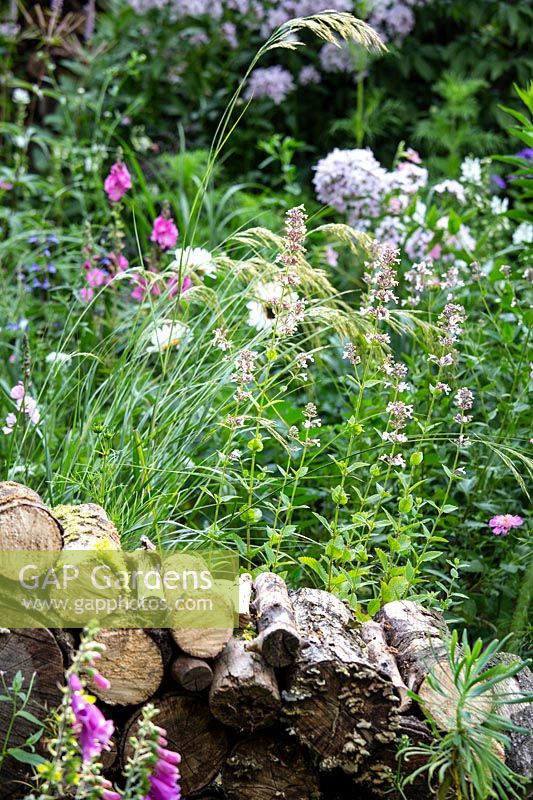 An insect and wildlife friendly log wall in front of naturalistic borders planted with perennials and ornamental grasses.