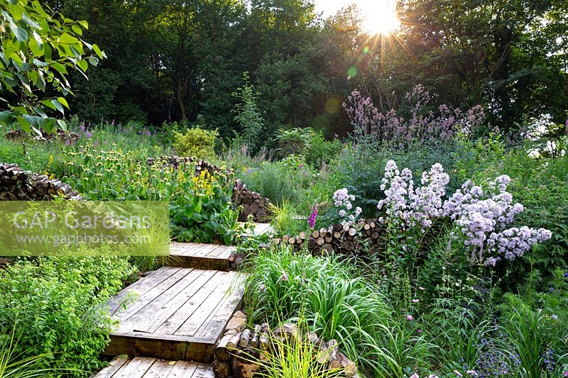 Wooden steps in between naturalistic borders planted with perennials and ornamental grasses.