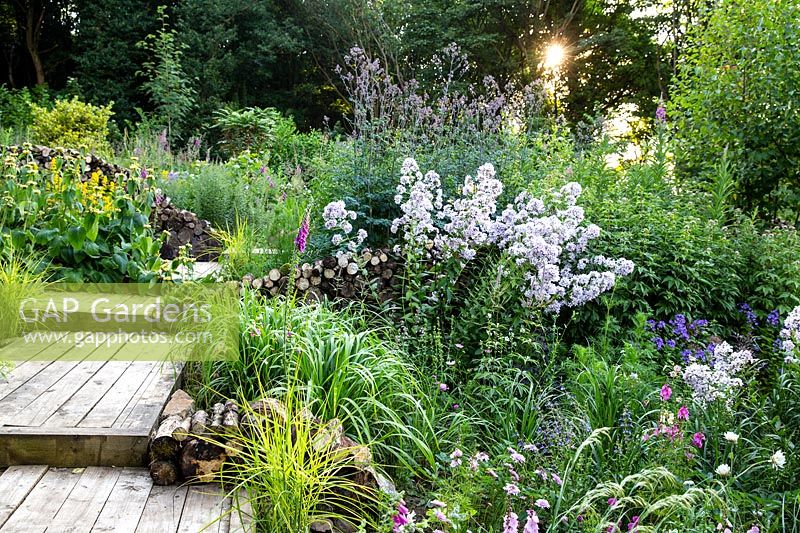 Wooden steps in between naturalistic borders planted with perennials and ornamental grasses