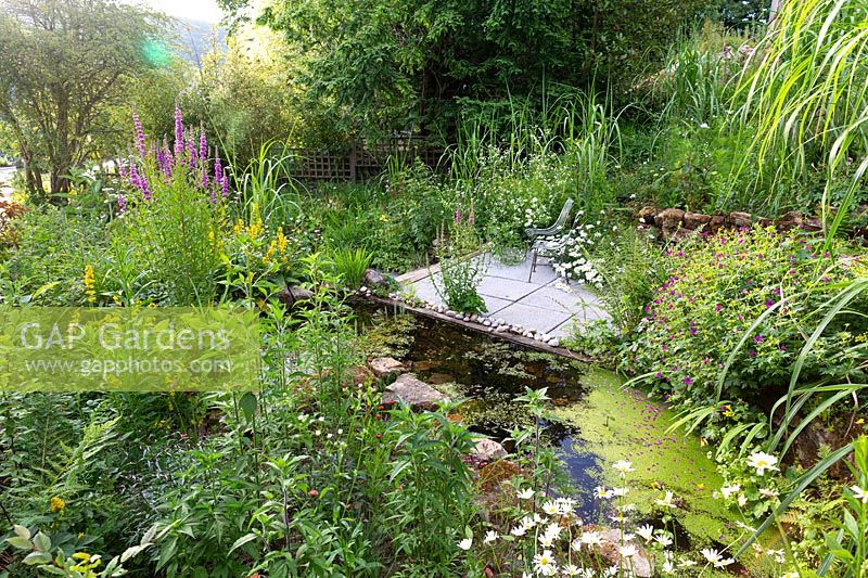 A patio seating area beside a pond planted with Lythrum salicaria and Lysimachia punctata.