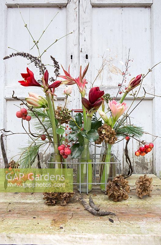 Floral arrangement in tray with milk bottles including Hippeastrum, crab apples, seedheads, holly and dried Hydrangea flowers. Styling: Marieke Nolsen
