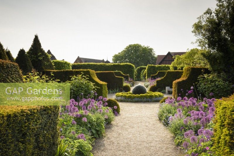 Formal garden with yew hedges and borders lined with Allium 'Purple Rain' at Arundel Castle, West Sussex, in May. The central slate water feature is surrounded by clipped box and forget-me-nots.