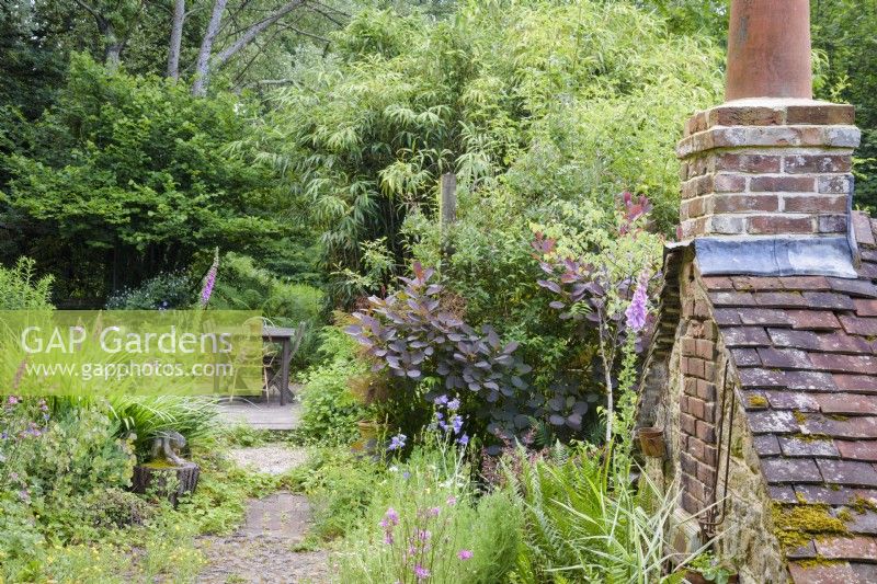 Path through a lush cottage garden leading to a simple decked dining area with planting including Cotinus coggygria 'Royal Purple', ferns and lots of self seeders including foxgloves in a cottage garden in June