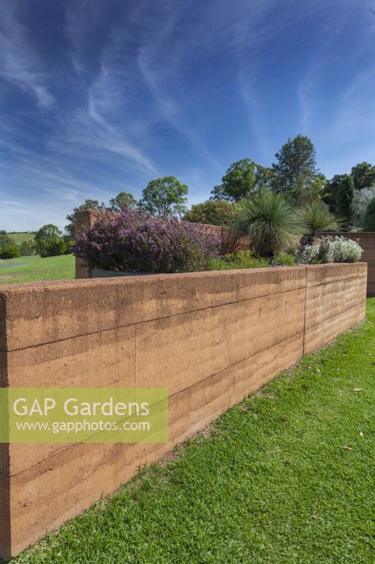 Rammed earth garden bed wall containing a planting of Australian native plants.