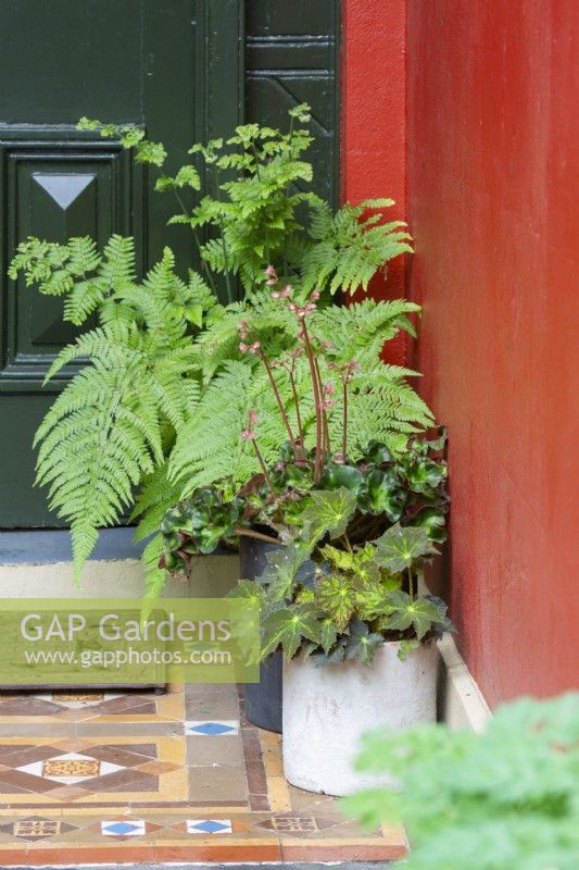 Potted foliage plants next to front door