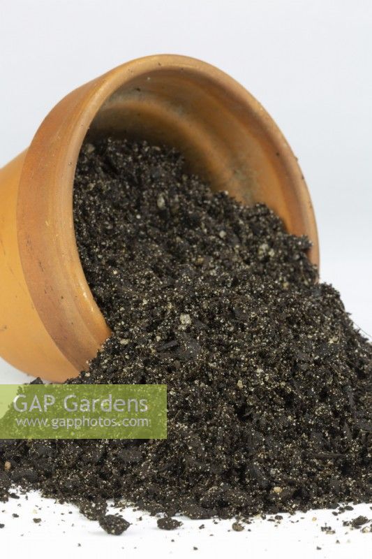 A sample of commercially manufactured seed raising and cutting mix in a terracotta pot