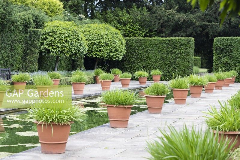 Rectangular pool lined with terracotta pots and mop headed Portuguese laurel in the Dutch Garden.  June