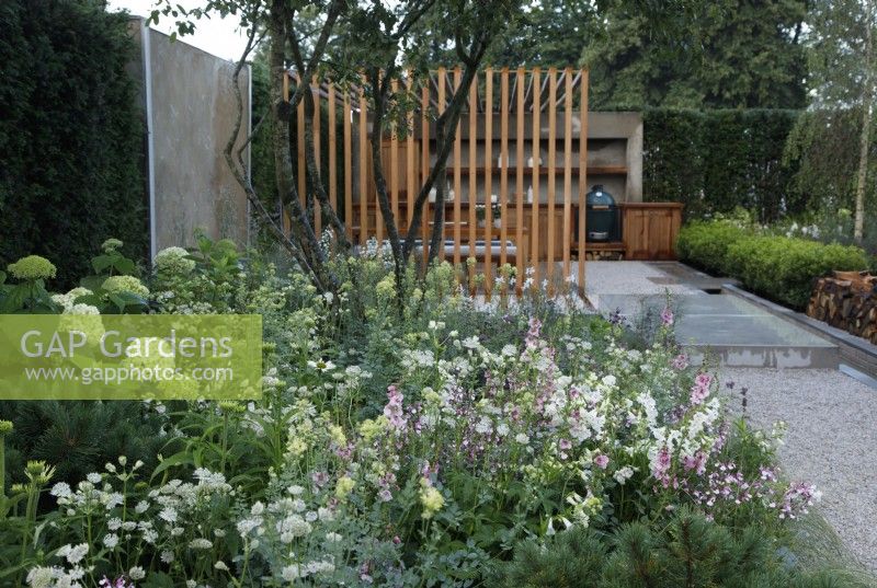 In The Viking Friluftsliv Garden, a multi stemmed Amelanchier is underplanted with Astrantia, Pinus, Echinacea, Hydrangea, Deschampsia cespitosa, pink Salvia and Verbascum and white Penstemons- Designer: Will Williams -Sponsor: Viking