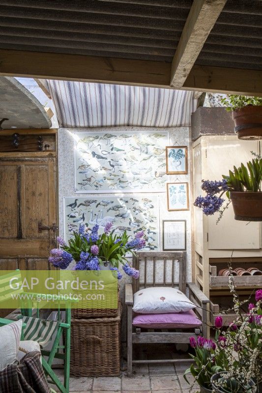 Interior filled with vintage and antique furniture, prints and potted Hyacinth flowers 