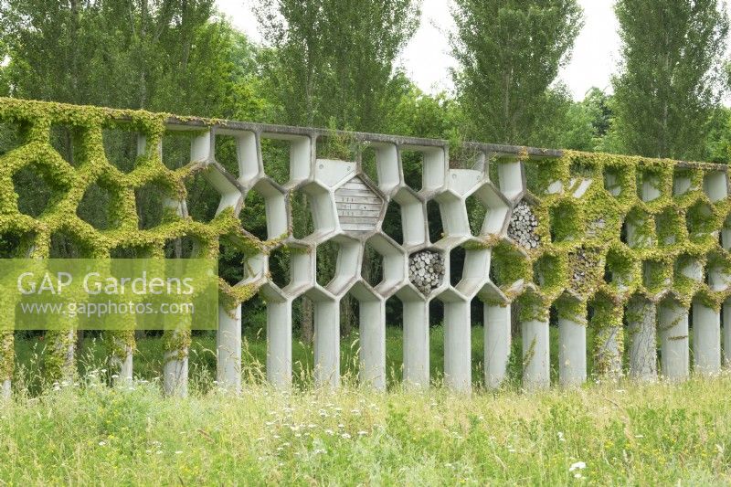 Climbing plants occupy the pergpla. Places for shelter and nesting for different animals.