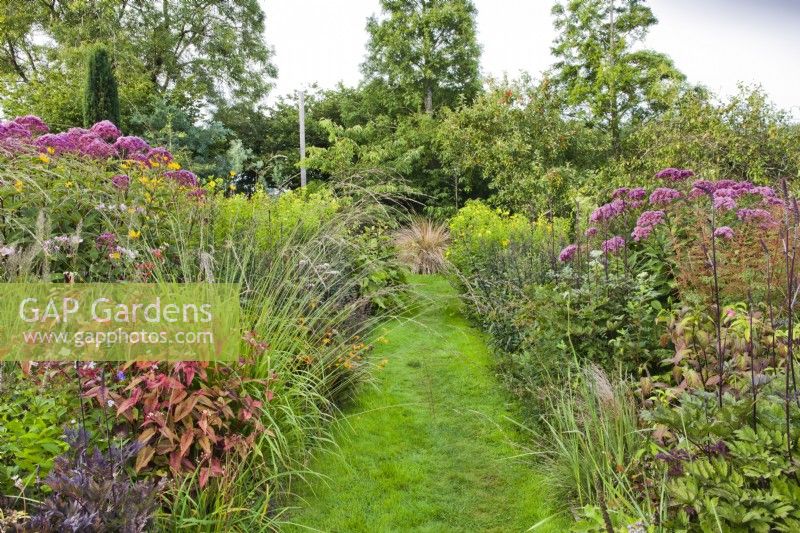 Herbaceous double borders with Actaea racemosa 'Brunette', Molinia, Eupatorium maculatum 'Riesenschirm', Actaea, Phlox, Hellianthus and Anemone. 