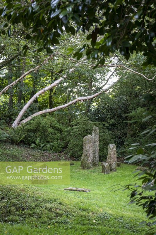 Granite standing stones in shady woodland garden