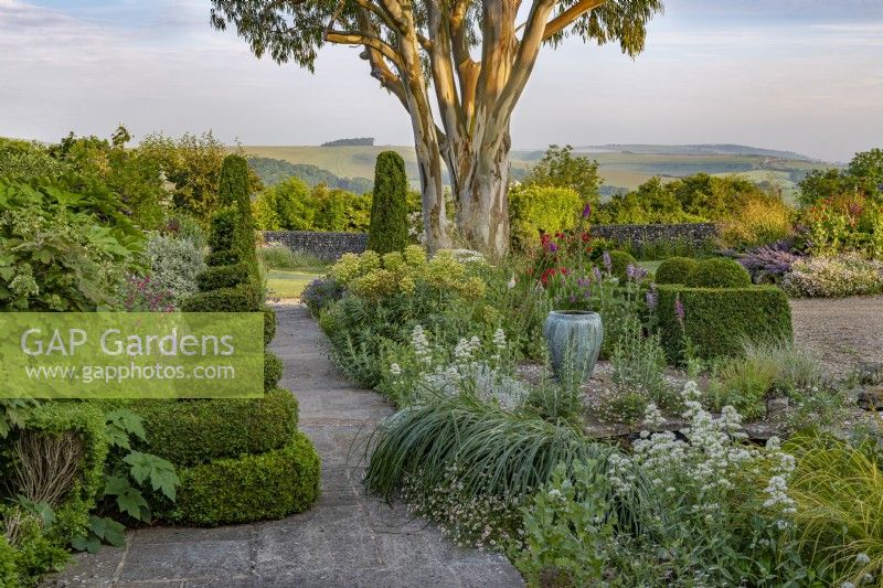 View of summer flowering borders in a modern country garden - June