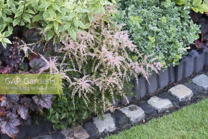 Summer border with Astilbe, Heuchera and Euonymus edged with tiles and cobbles 