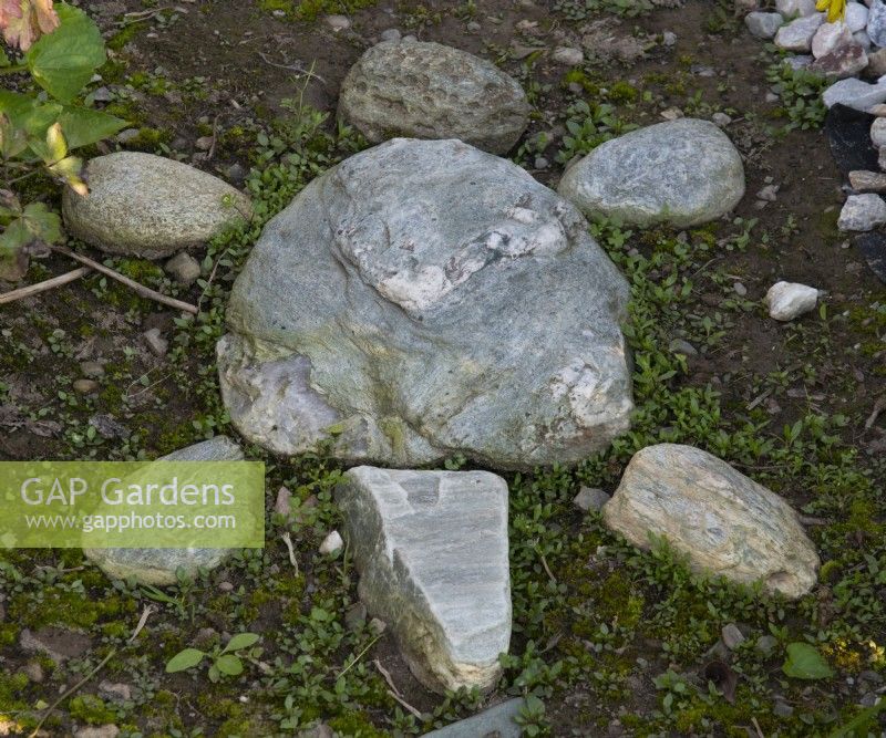 Rocks in the shape of a tortoise on a path in a flower bed 