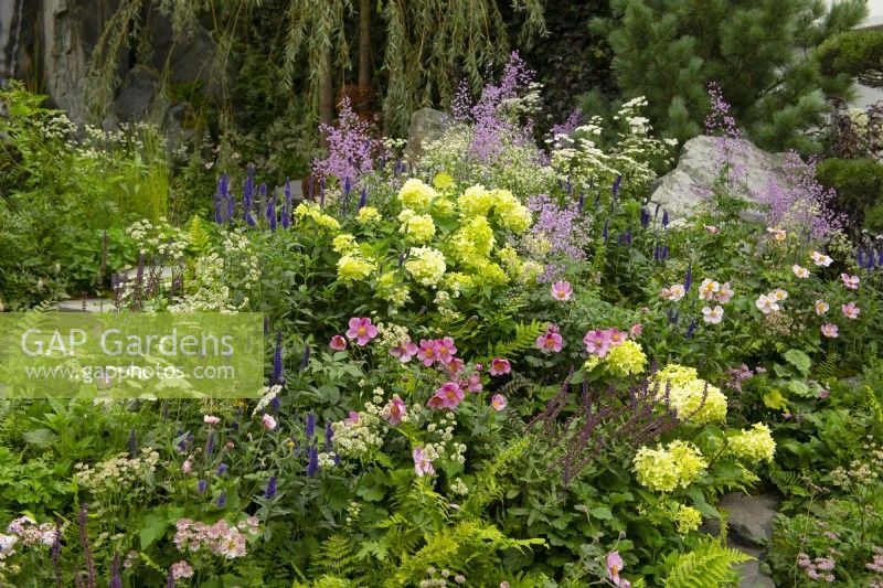 Colourful plants growing on a hillside surrounded by trees in the 60 Degrees East, a garden between continents. Plants incluyde Hydrangea paniculata, Anemone x hybrida, Thalictrum 'Hewitt's Double' Salvia nemorosa 'Caradonna', Astrantia major, and Veronia longifolia.   Sculpture by Penny Hardy.
