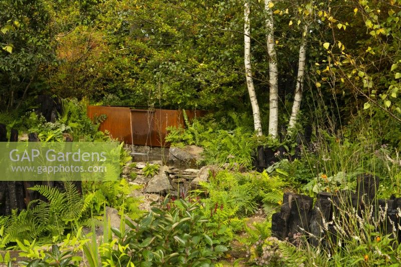 A woodland containing a fountain and stream running from a steel trough over rocks surrounded by trees, perennials and charred log borders in the Yeo Valley Organic Garden. 