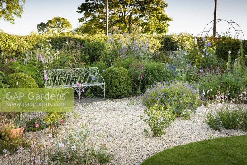 Clipped box flanks a wirework bench beside a gravel garden in July.