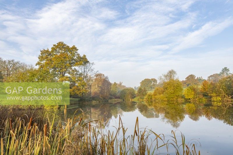 View of a lake in a country garden in autumn - November