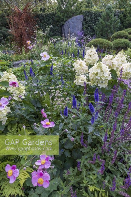 Mixed pastel planting in late summer with rocky monlith behind. Including Hydrangea, Anemone x hybrida, Salvia nemerosa 'Caradonna', Veronica longifolia, Astrantia major 'Abbey Road'. Bodmin Jail: 60degrees East - A Garden between Continents.