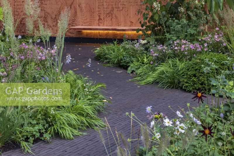 Carved cantilevred wooden bench with back lighting forms a focal point in a paved area with lush planting. Featuring Anemone x hybrida, Dahlia 'Verrone's Obsidian', Astrantia, Hakonechloa macra, and Pennisetum alopecuroides cvs. The Florence Nightingale Garden.