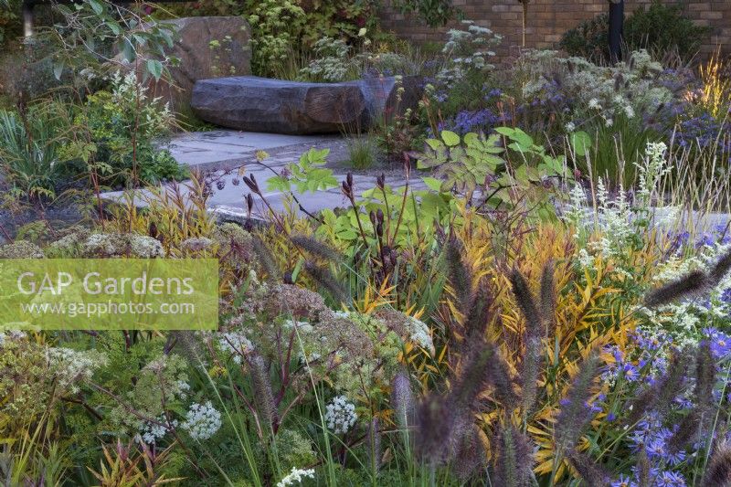 The M and G Garden. Paved area with rustic carved bench and a mix of gravel and paving for drainage. Autumn planting combination including Aster cordifolius, Pennisetum alopecuroides 'Cassian', foliage of Amsonia illustris and Aralia cordata and Ligusticum lucidum.