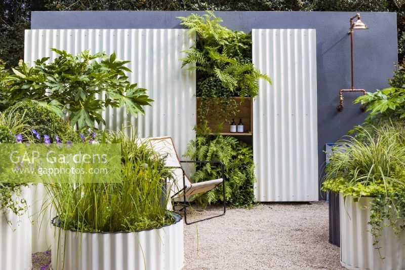 Hot Tin Roof Garden. Corrugated steel cream painted circular containers, including small pool. Shade-loving planting includes Fatsia japonica, Carex 'Ice Dancer', Geranium 'Rozanne', with Pontederia lanceolata in the pond. Ferns at the back include Polypodium vulgare and Dryopteris erythrosora 'Brilliance'.