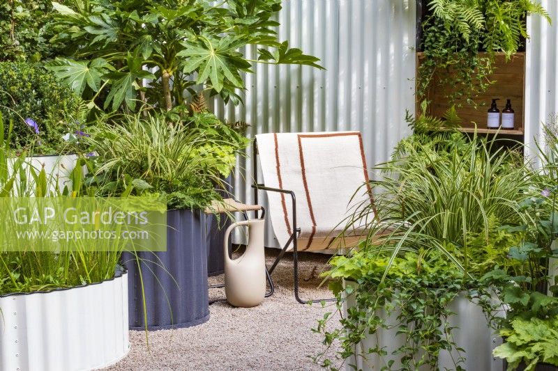 Hot Tin Roof Garden. Cream deck chair and jug with corrugated steel cream painted back wall and circular containers, including small pool. Shade-loving planting includes Fatsia japonica, Carex 'Ice Dancer', Heuchera 'Key Lime Pie', Vinca minor 'Bowles Purple', and Geranium 'Rozanne', with Pontederia lanceolata in the pond. Ferns include Polypodium vulgare and Dryopteris erythrosora 'Brilliance'.