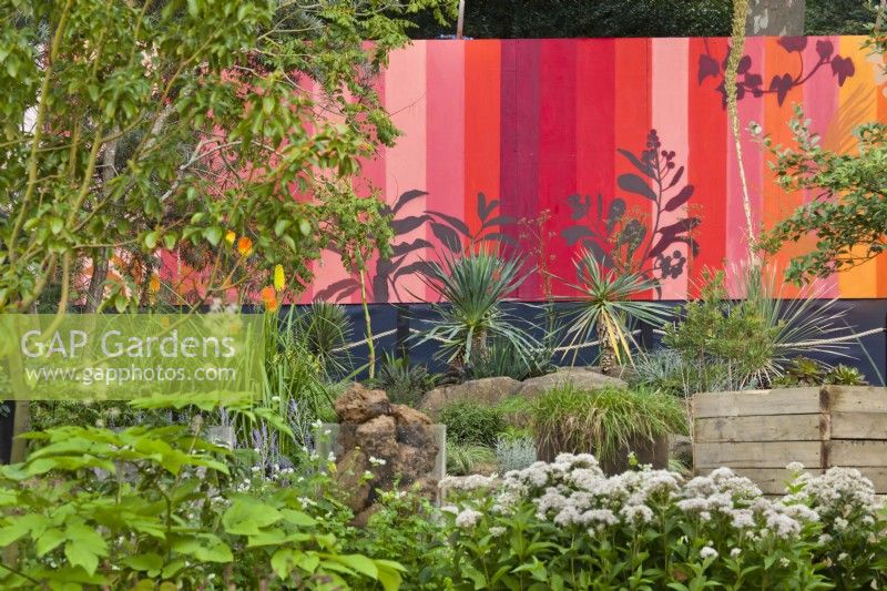 Drought tolerant meadow with  Yucca rostrata,  RHS COP26 Garden, RHS Chelsea Flower Show 2021 