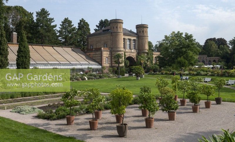Botanical Gardens Karlsruhe Germany. 