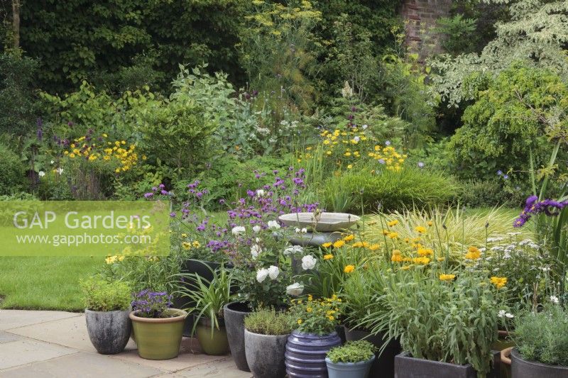 A collection of pots in garden on patio - July