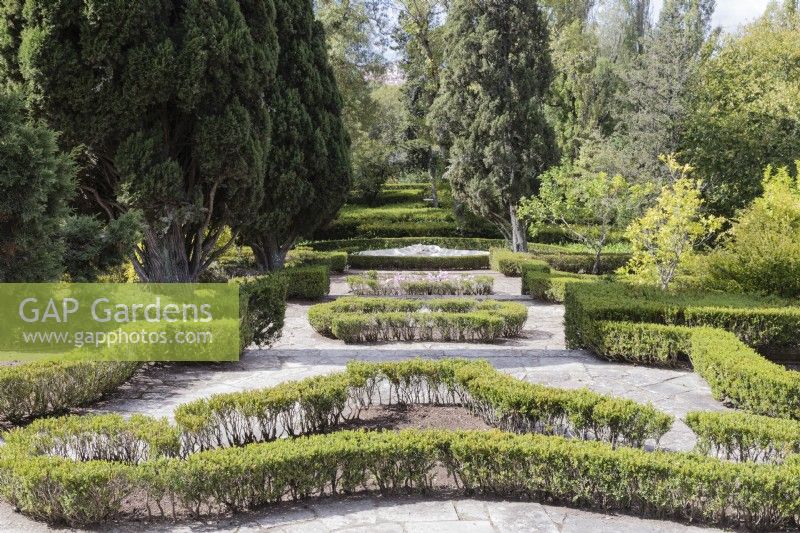 Low hedges of clipped box. Queluz, Lisbon, Portugal, September. 