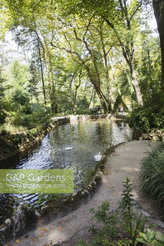 Pond in the park with curved grit path. Parque da Pena, Sintra, near Lisbon, Portugal, September.