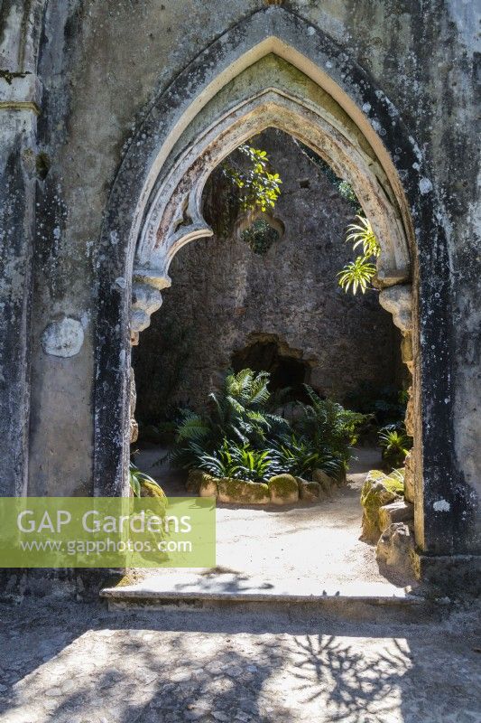 Entrance to the Ruin with ferns in small raised bed. Sintra, near Lisbon, Portugal. September