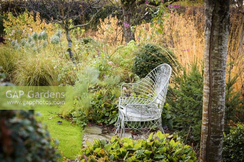 Wirework bench framed by shrubs and grasses in a country garden in November