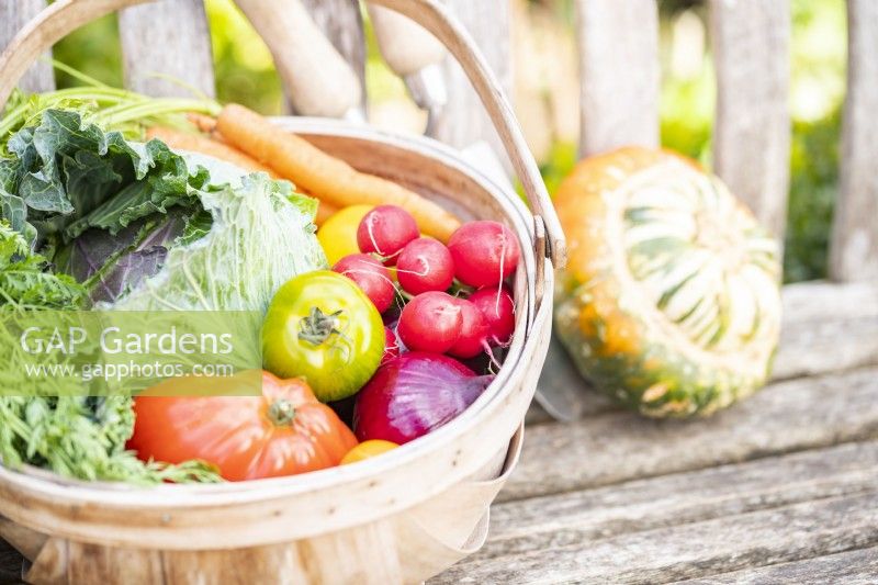 Wooden trug full of vegetables next to a Squash on a wooden bench