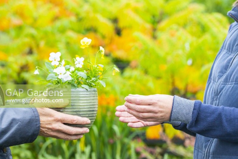 Woman recieving a small pot of Pansies from another person