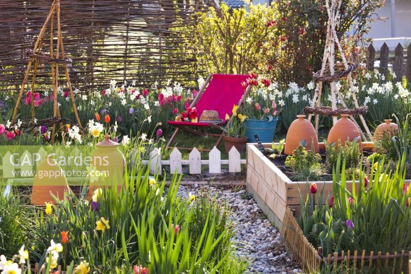 Vegetable beds and spring flowers - daffodils and tulips.