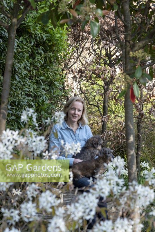 Women siting in the garden with dogs on her lap. She is surrounded by Amelanchier 'lamarckii', Trachelospermum jasminoides, Photinias and a beech hedge, Fagus sylvatica.