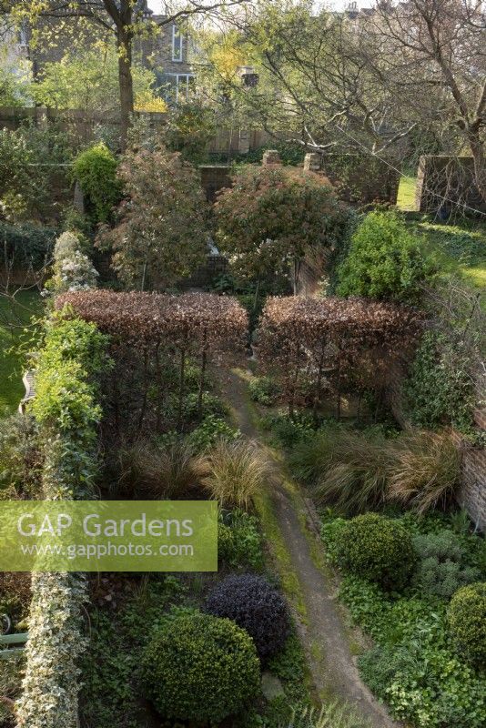 Birds eye view of the garden at 49 Loftus Road.