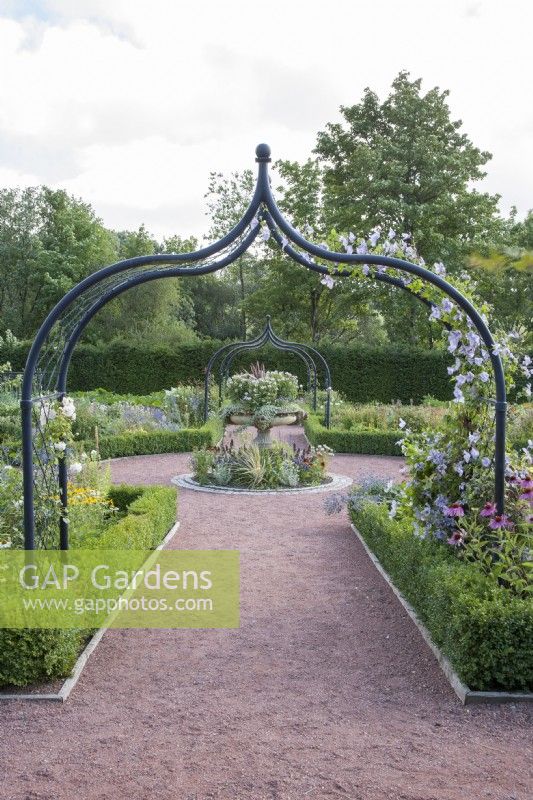 Looking through 'Gothic' arch planted with Clematis Blekitny Aniol syn. Clematis Blue Angel and scented Rosa 'Hardwell' to planter at central meeting-point of paths in contemporary walled-garden at Dumfries House. 

Lilium regale and Echinacea syn. cone-flower growing at base of arch.  Paths edged with Buxus sempervirens syn. Box. Summer, September.