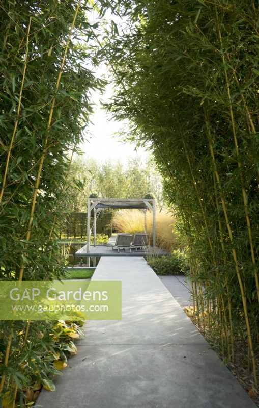 Raised path, between double row of Bamboo, leading to terrace with pergola.