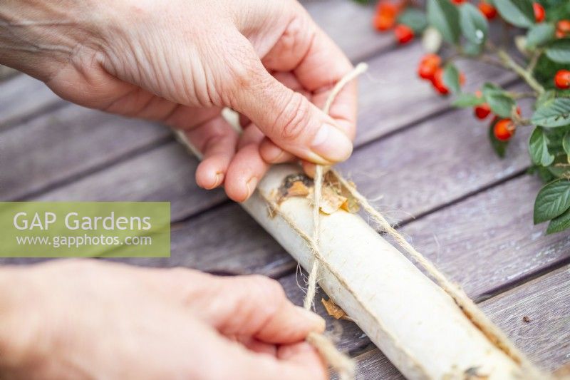 Woman tying the four birch sticks together