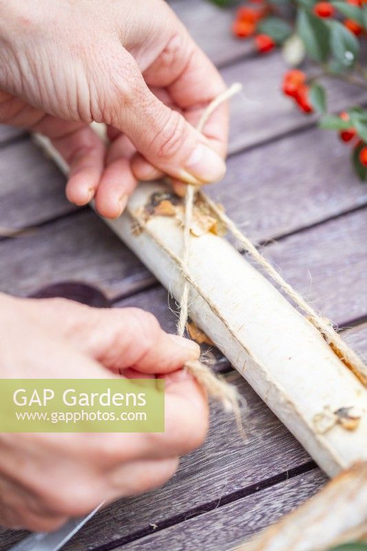 Woman tying the four birch sticks together