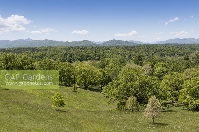 View of rolling meadows, open woodland and distant, forest-covered mountains