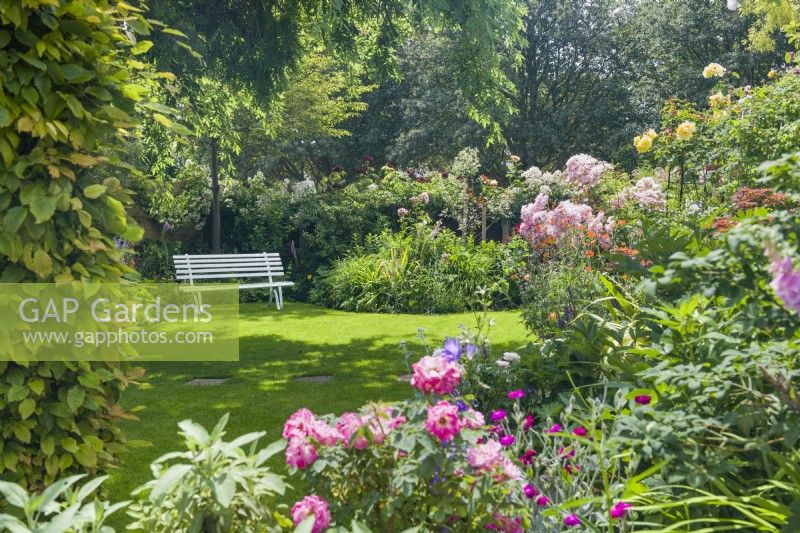 View of garden with painted wood seat, informal lawn and mixed borders. June