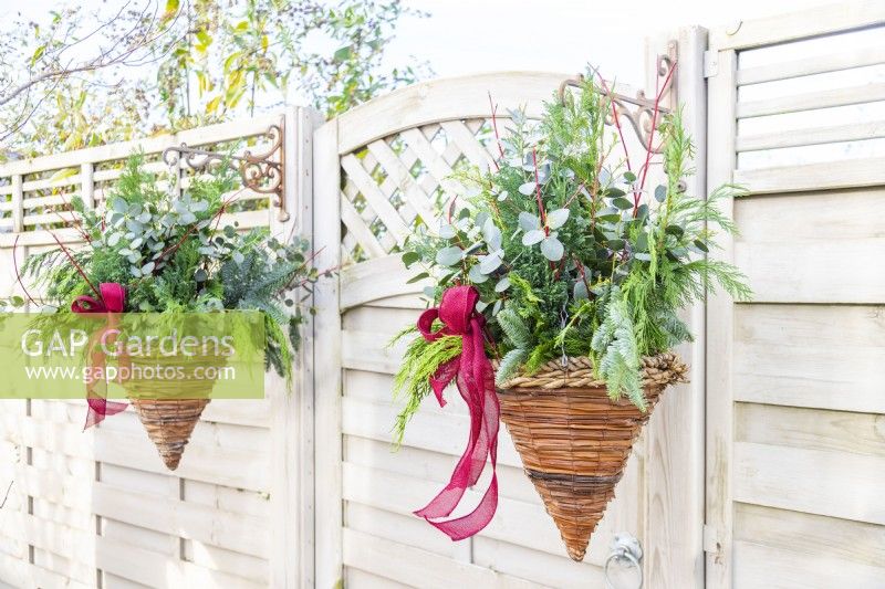 Evergreen Christmas hanging baskets either side of gate
