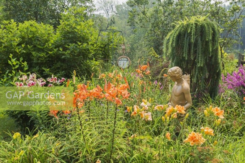 Hemerocallis 'Bubbly' - Daylily, Lilium lancifolium - Tiger Lily, Lilium orientalis 'Stargazer' - Lily, Larix decidua - European Larch and Greek-Roman style statue in border in backyard garden in summer, Quebec, Canada - July