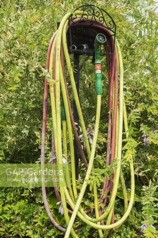 Wound professional grade yellow and red rubber garden watering hoses with green water spray gun attached, Quebec, Canada - July