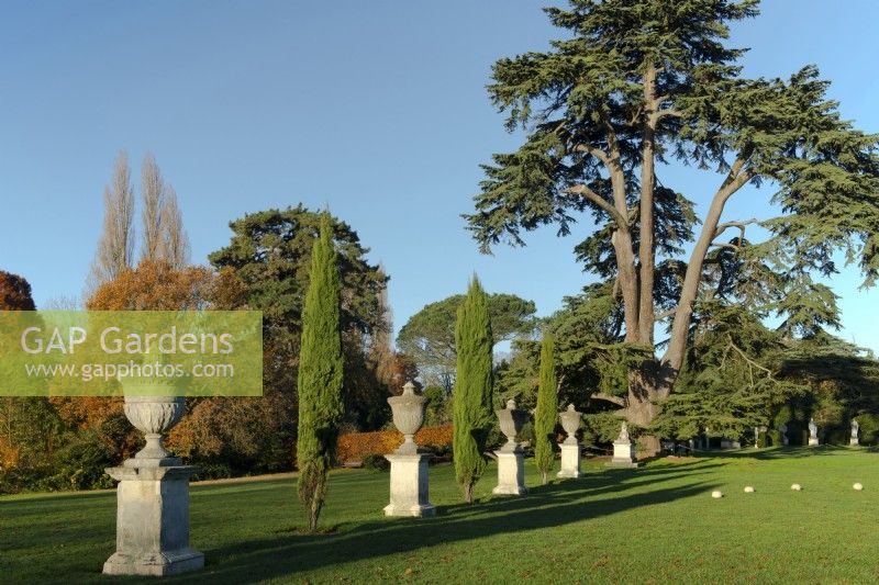 A lawn with a line of stone urns on plinths interplanted with conifers, beyond specimen Atlantic Blue Cedar of Lebanon at Chiswick House and Garden